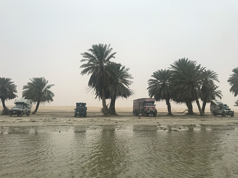 Als Reisefahrzeuge stehen ein Mitsubishi Pajero, ein Landrover Defender, ein Mercedes Kurzhauber und ein Toyota Hilux an einem sandigen Strand unter Palmen.