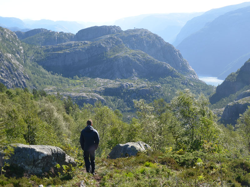 Blick in die Natur. Entfernt sieht man den Lysefjord, während im Vordergrund ein Mensch ins grüne verschwindet.
