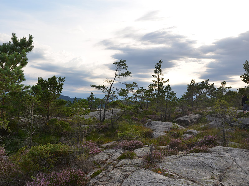 Felsige Natur in Norwegen.